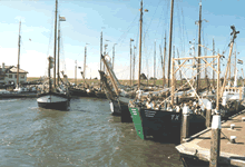 Hafen